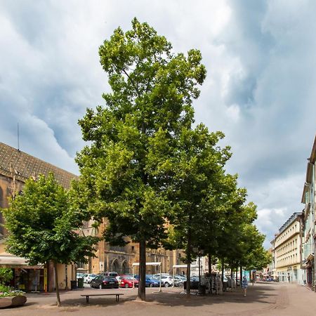 Le Griffon Apartman Colmar Kültér fotó