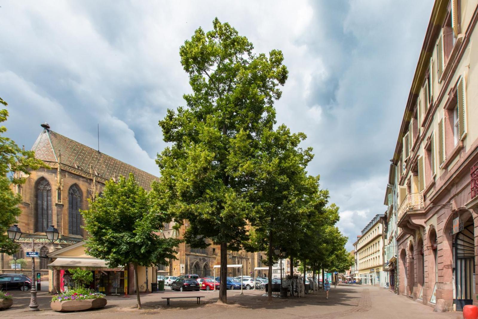 Le Griffon Apartman Colmar Kültér fotó